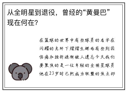 从全明星到退役，曾经的“黄曼巴”现在何在？