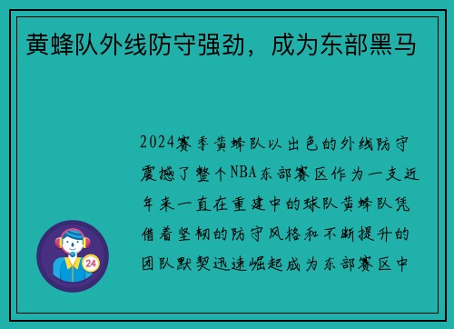 黄蜂队外线防守强劲，成为东部黑马